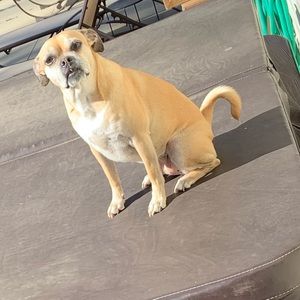 Meet your Posher, Lori